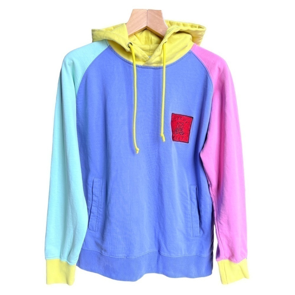 Teddy Fresh LA Streetwear Men’s Pastel Colorblock Hoodie Embroidered Logo Medium